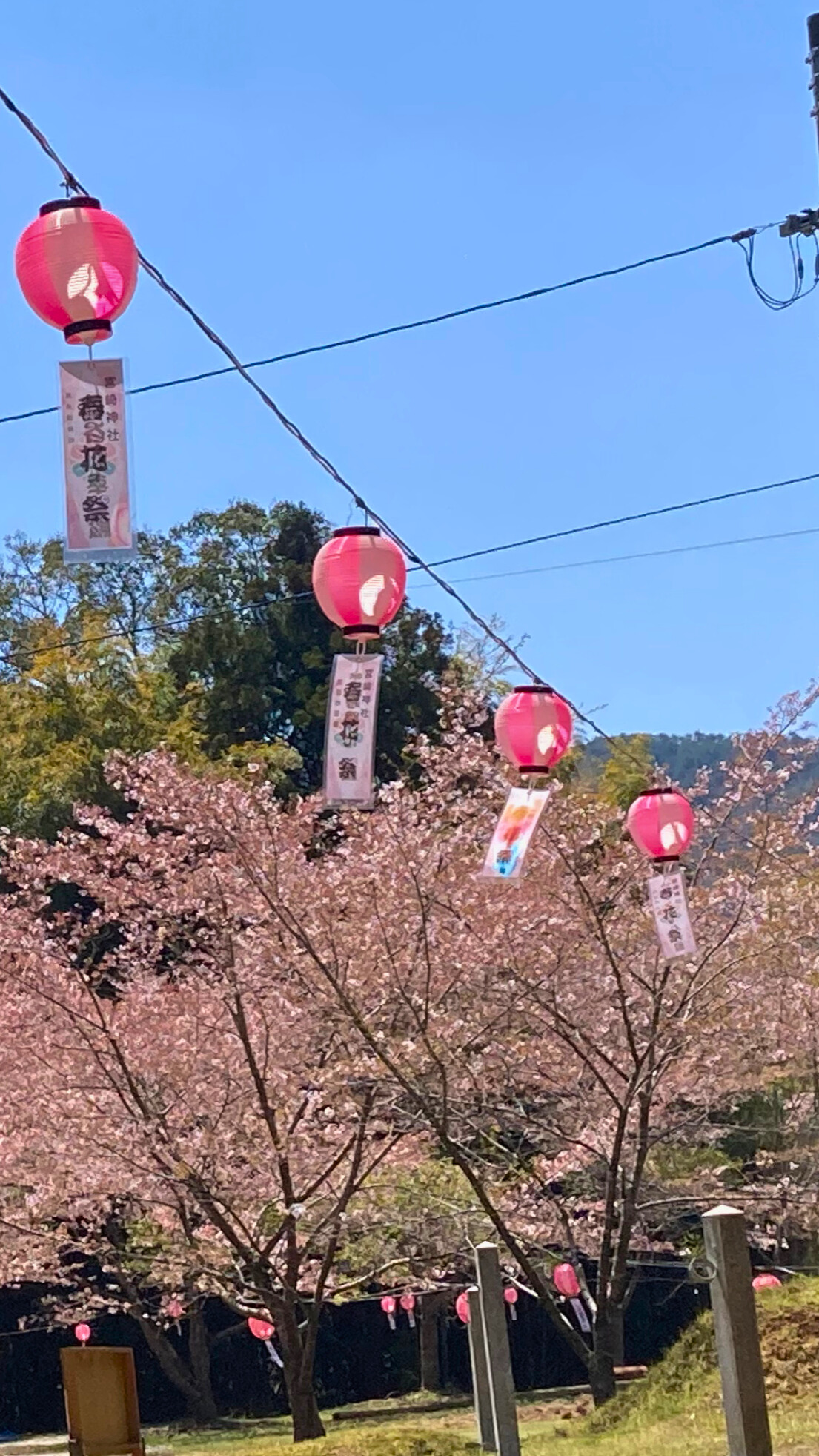 献灯の様子
